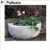 p patinato